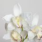 künstliche Cymbidium Orchidee 50cm creme Blütendetail Ega W104 5