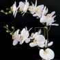 künstliche Orchidee weiß creme blühend Blütendetail