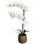 künstliche Orchidee weiß creme blühend Im Keramiktopf ca. 65cm