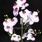 künstliche Orchidee weiß Lilac blühend Blütendetail