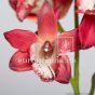 künstliche Rote bordeaux Cymbidium Orchidee 50cm Blütendetail Ega W104 3