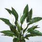 künstliche Topfpflanze Spathiphyllum 4 weiße Blüten ca. 50cm Blattdetail