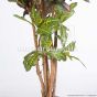 künstlicher Baum Croton 150cm Stammdetail