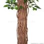 künstlicher Ficus Liane Miniblatt De Luxe grün 150cm Kunstbaum Stamm
