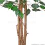 künstlicher Ficus Naturstamm 170 180cm Stämme
