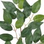 künstlicher Jade Ficus Zweig grün 45cm Detail