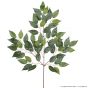künstlicher Jade Ficus Zweig Grun 45cm