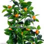 künstlicher Orangenbaum 80 90cm Detail mit Früchten Detail