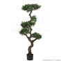künstlicher Podocarpus Bonsai 130cm Basistopf
