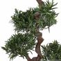 künstlicher Podocarpus Bonsai 130cm Blätter