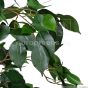 Kunstbaum Ficus Benjamini 70 80cm Blätter