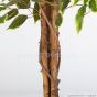 Kunstbaum Ficus Exotica 180cm Blätter grün creme Stamm