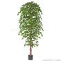 Kunstbaum Ficus Exotica 210cm Blätter grün creme Basis
