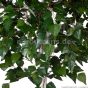 Kunstbaum künstliche Himalaya Birke 120cm Blätterdetail