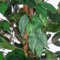 Kunstbaum künstlicher Ficus Benjamini 120cm Blätter