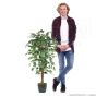 Kunstbaum künstlicher Ficus Benjamini 120cm Vergleich Mensch