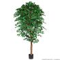 Kunstbaum künstlicher Jade Ficus 190cm Basistopf