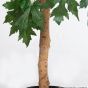 Kunstbaum künstlicher Kanada Ahorn 130 cm Stamm