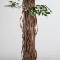 Kunstbaum Kunstliche Ficus Liane Miniblatt De Luxe grün creme 150cm Stamm