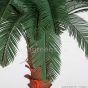 Kunstpalme künstliche Cycaspalme 200cm Palmwedel