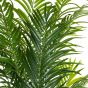 Kunstpalme künstliche Kentiapalme 210cm Palmenfaser Palmwedel