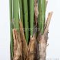 Kunstpalme künstliche Kentiapalme 210cm Palmenfaser Stamm