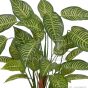 Kunstpflanze künstliche Aphelandra Topfpflanze ca. 50cm grün Gelbe Blätter Blattdetail