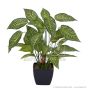 Kunstpflanze künstliche Aphelandra Topfpflanze ca. 50cm grün Gelbe Blätter