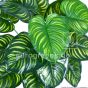 Kunstpflanze künstliche Calathea 70 cm grün gelb Blattdetail Ega 0034