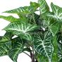 Kunstpflanze künstliche Pfeilblattpflanze Nephthytis Caladium 45cm Detail Eg24 1025