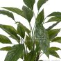 Kunstpflanze künstliche Spathiphyllum Pflanze ca. 50cm Blattdetail