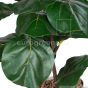 Kunstpflanze Küsntlicher Geigenficus 90cm grün Blätter