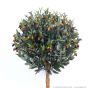 Kunstpflanze Olivenbaum 74404 B