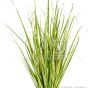 Kunstpflanze Varigated Gras Getopft 110cm