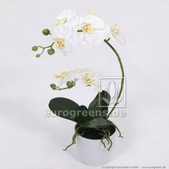 künstliche creme-weiße Orchidee in weißem Melamintopf ca. 60cm