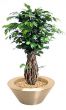 Ficus Liana Bonsai 100cm Kunstbonsai 2