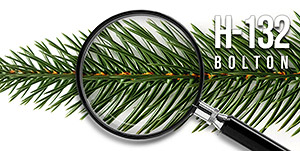 Nadeln Detailbild künstlicher Weihnachtsbaum Bolton
